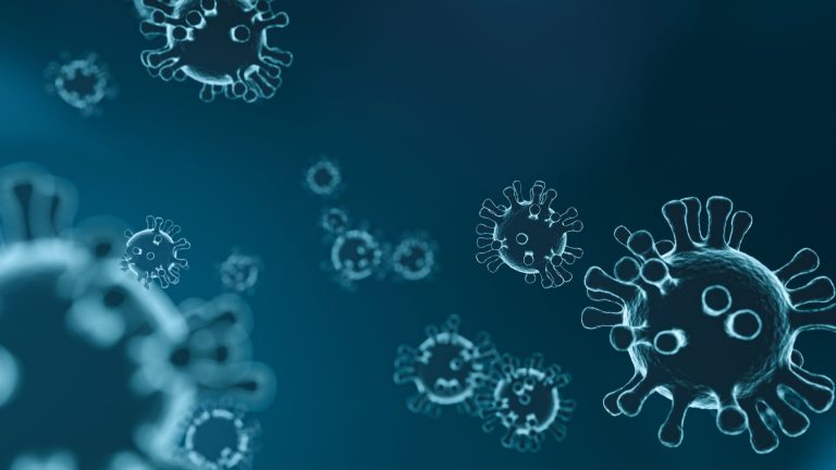 Nipah Virus dan Dampaknya bagi Kesehatan Manusia